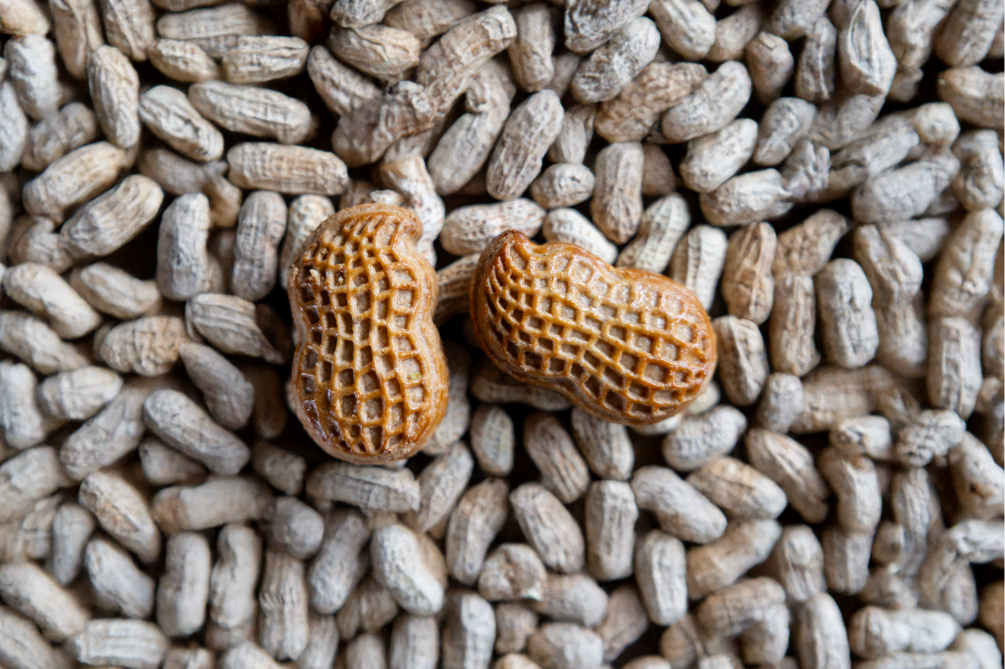 Golden Pineapple & Peanut Delights